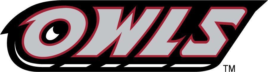 Temple Owls 1996-2014 Wordmark Logo v2 diy DTF decal sticker